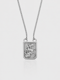 GUARDIAN (SILVER)
